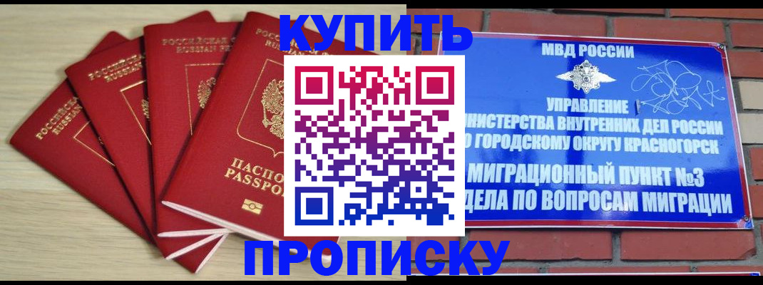 временная регистрация для всех в Димитровграде